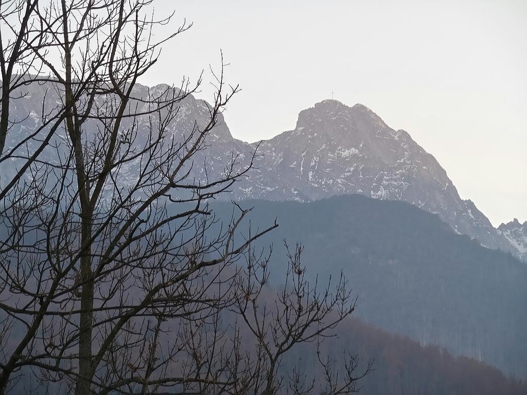 Willa Pod Halami Daire Zakopane Dış mekan fotoğraf